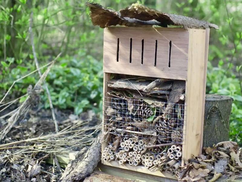 Insectenhotel Workshop bij Museum Houtstad IJlst